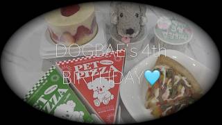 진짜소리 — 21만